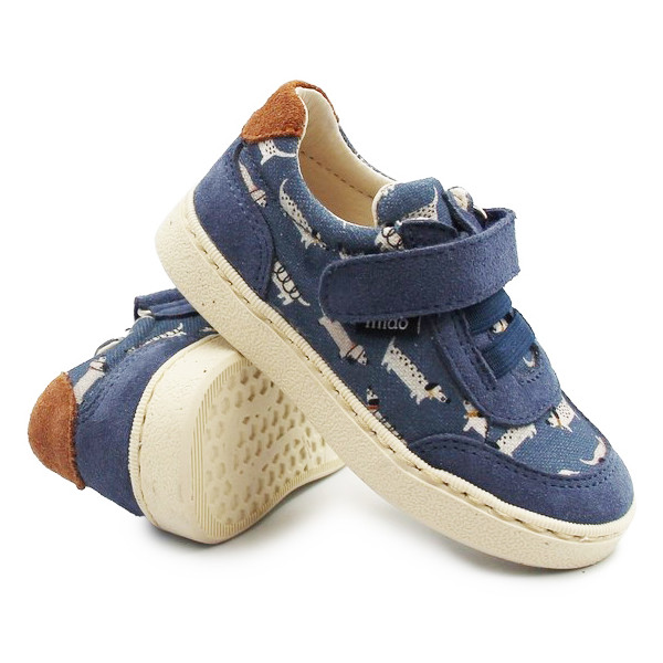 Buty Na Jesień Dla Chłopca Półbuty Mido 20-61 Doggy Blue